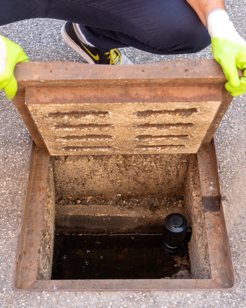moskyp-classic-shop-10